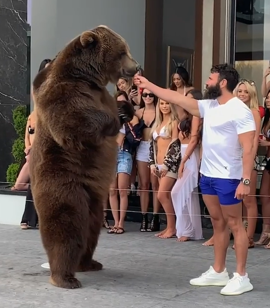 Snapchat-Story Screenshot: Dan Bilzerian's Grizzly Bär
