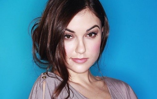 Sasha Grey Vermögen